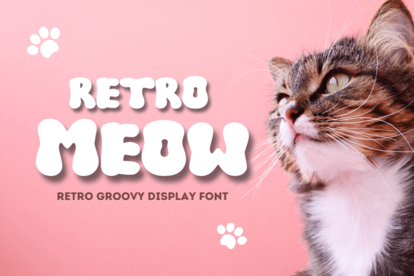 Retro Meow Font: A Display Typeface for Editorial Warmth
